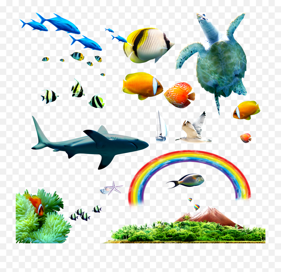 Library Of Fish Fin Image Png Files