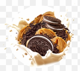 Protolyte 100 Whey Isolate - Cookies And Cream Png,Icon Meals Protein Cookie