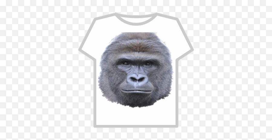 Create meme muscles to get, roblox t shirt, shirt roblox - Pictures 