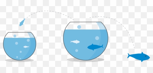 Churn Geomatic - Aquarium Fish png