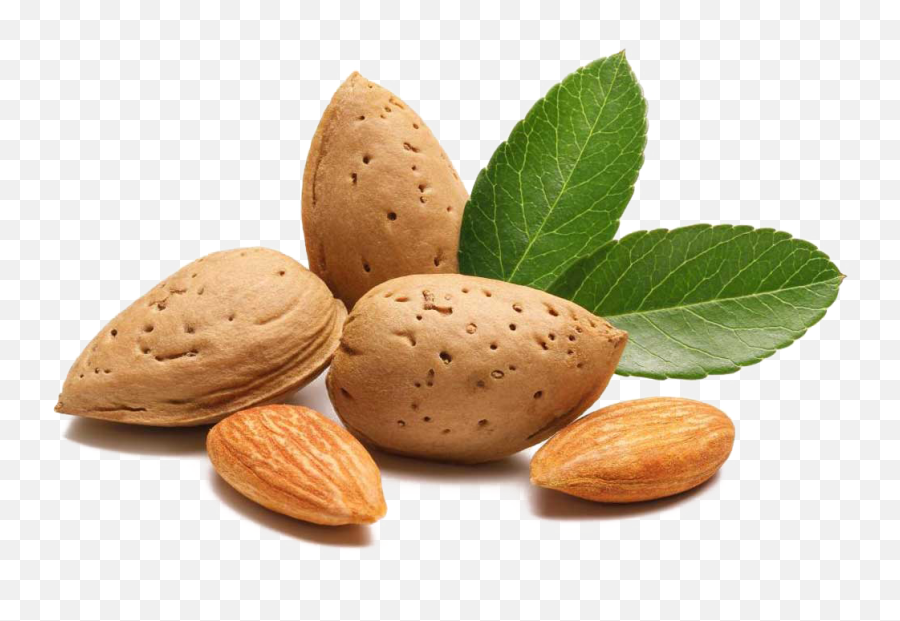 Almond Png Images Free Download - Primary Product,Almonds Png