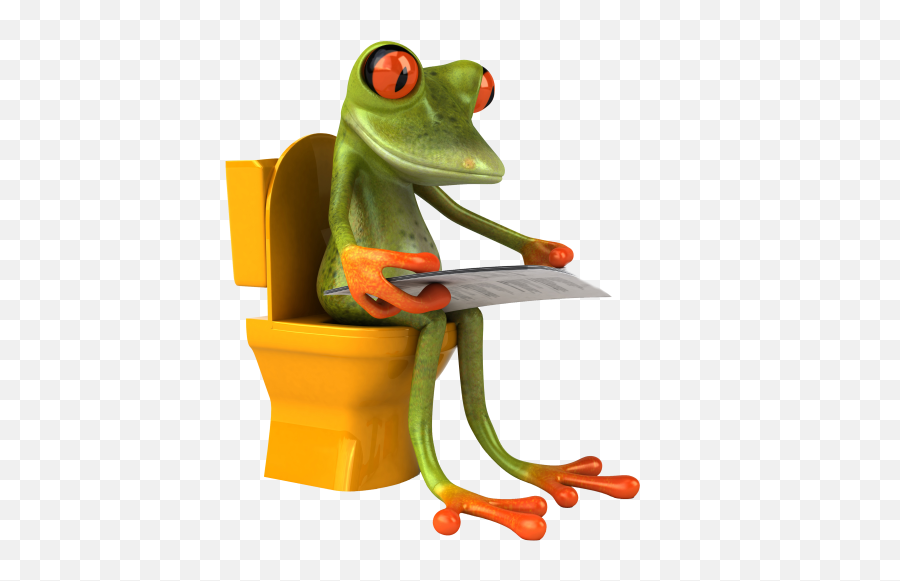 Green Frog Kermit My Blog Chiste Meme Flip Flops - Funky Toilet Seats Png,Kermit Png