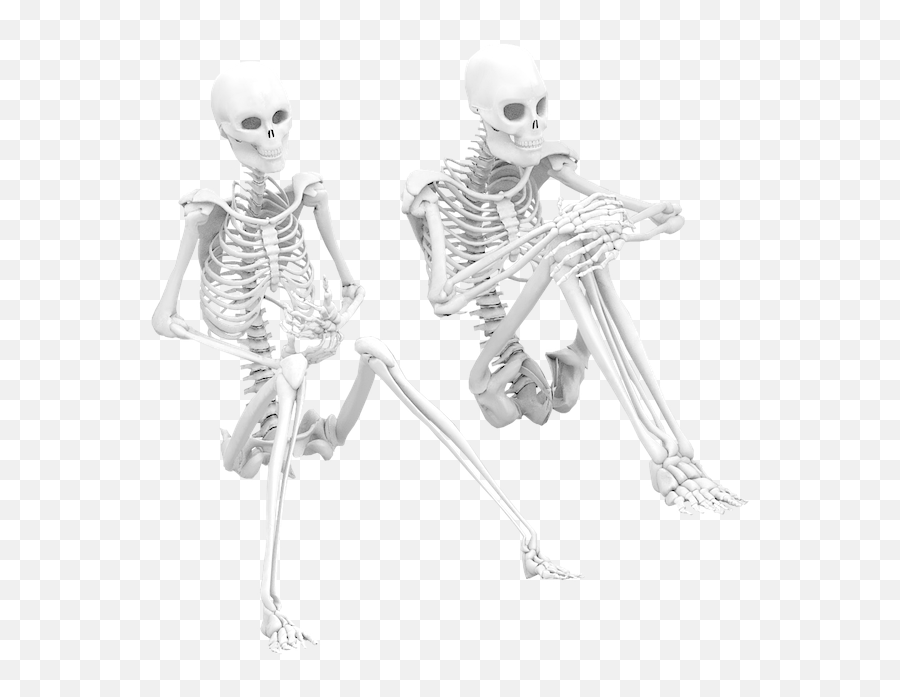 Skeleton Sitting Isolated - Sitting Skeletons Png,Skeletons Png