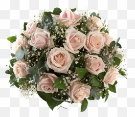 Round - Rose Png,Baby's Breath Png