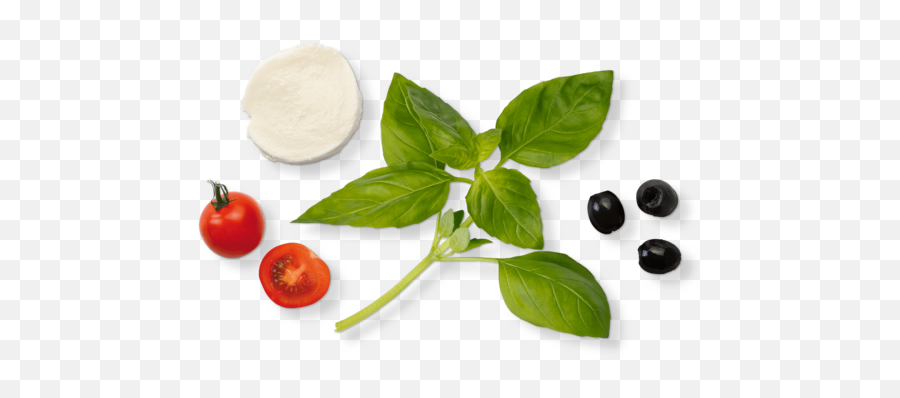 Basil Cress - Koppert Cress Plum Tomato Png,Basil Png