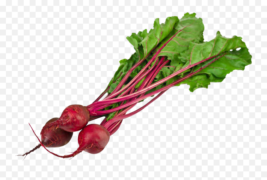 Download Beet Png Image For Free - Beets Png,Beet Png