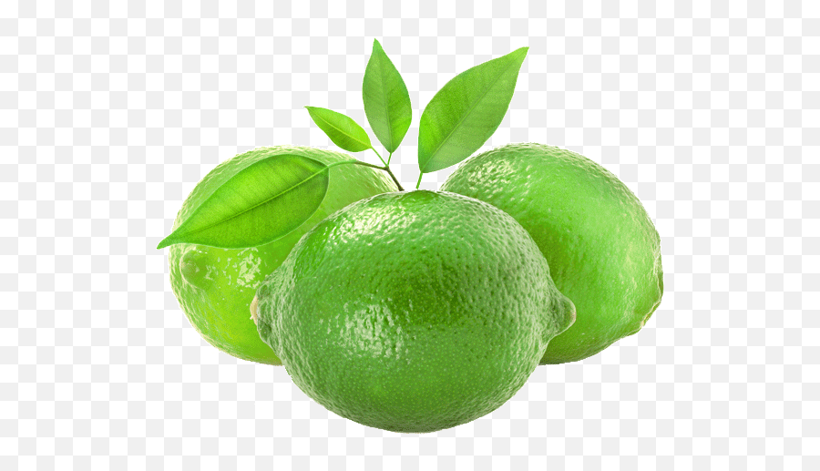Pemberton Limes - Lime Png,Lime Png