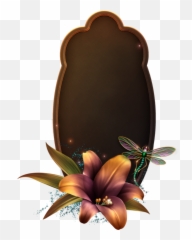 Fall Frame Png - Fall Lilies Framed Wallpaper Borders And Lily