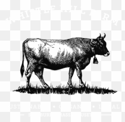 Home Whistle Hill Farm - Cattle Png,Whistle Png