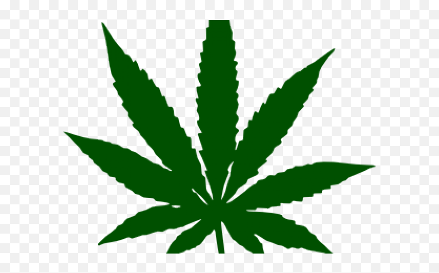 Download Drawn Pot Plant Transparent - Weed Leaf Transparent Marijuana Leaf Clip Art Png,Plant Transparent Background