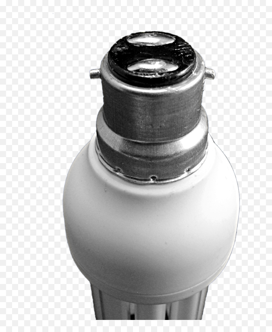 Bulb - Bulb Bottoms Png,Bulb Png