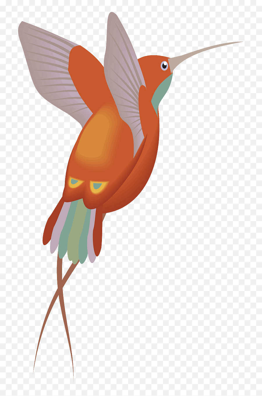 Red Orange Hummingbird Bird Wings - Clip Art Png,Hummingbird Transparent Background