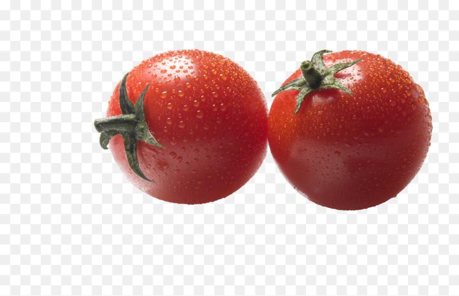 Tomato Plant Png - Plum Tomato Transparent Cartoon Jingfm Plum Tomato,Tomato Transparent