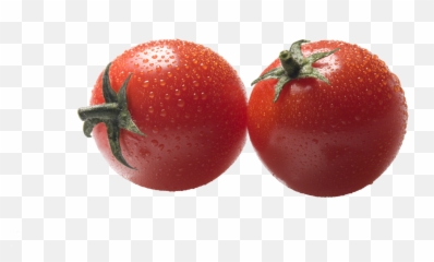 Tomato Plant Png - Plum Tomato Transparent Cartoon Jingfm Plum Tomato,Tomato Transparent