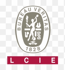 Download Bureau Veritas Logo Vector Hd - Png