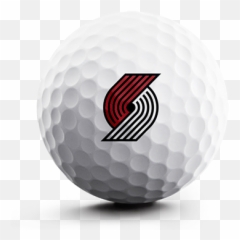 Vice Pro Soft - NBAPOR Portland Blaze Basketball Logo png