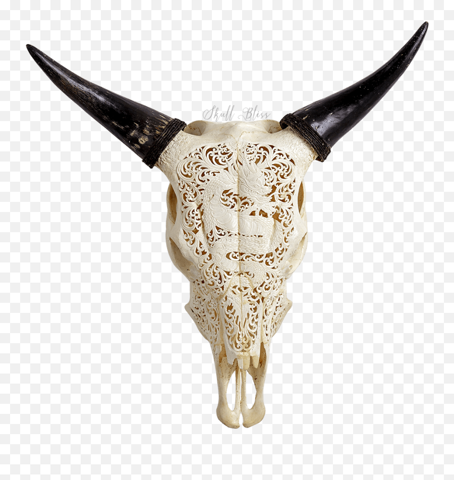 Laser Engraver Cow Skull - Horn Png,Cow Skull Png