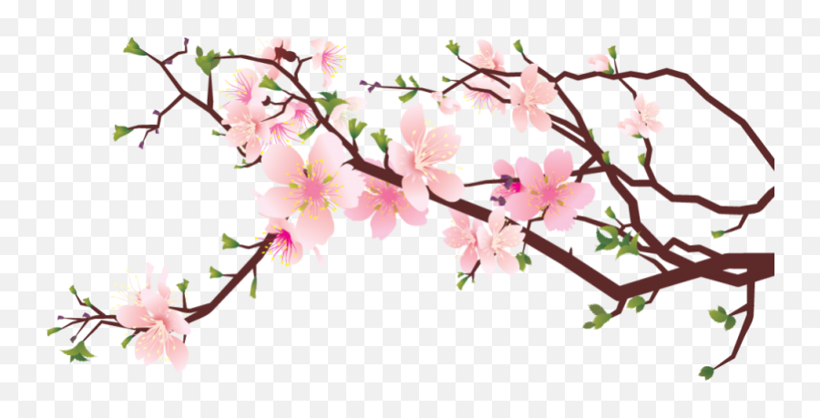 Cherry Blossom Png Transparent - Cherry Blossom Art Png,Cherry Blossoms Transparent