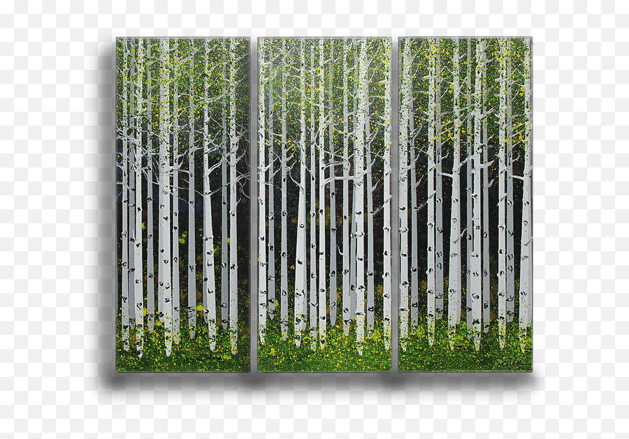 Summer Aspen Trees 3 - Aspen Tree Summer Png,Aspen Tree Png