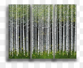 Summer Aspen Trees 3 - Aspen Tree Summer Png,Aspen Tree Png
