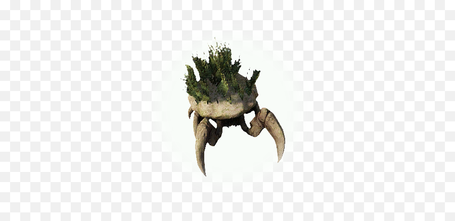 Bdo Kamasylvia Small Stoneback Crab Knowledge Database - Crabs Png,Crab Icon