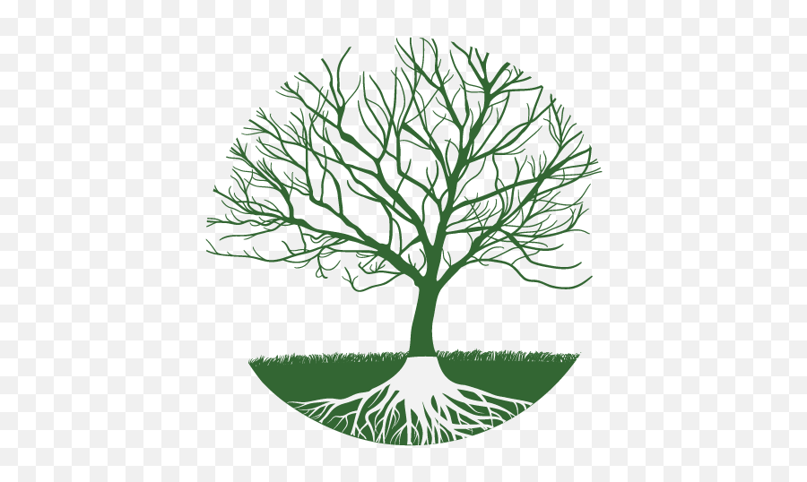 Download Hd The World Tree Is A Symbol Of Totality - World Tree Clip Art Png,Icon Of Transfiguration