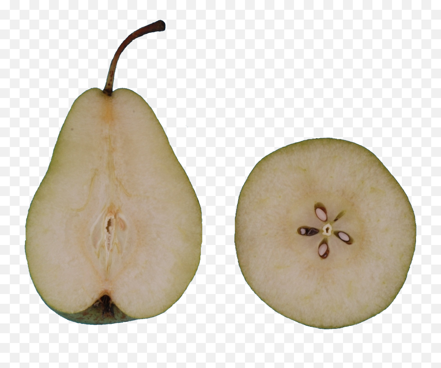 Free Pear Transparent Background Download - Pear Flesh Png,Pear Icon