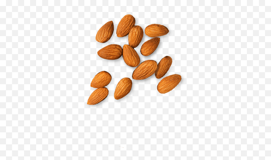 One Almond Png 2 Image - Eat If You Want Abs,Almonds Png