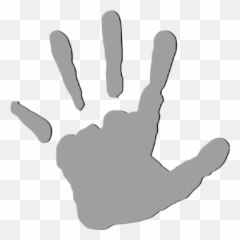 Palm2a Age Predictor Png