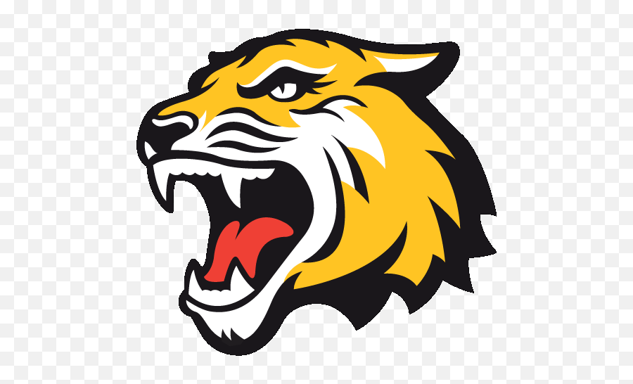 Tiger Icon Png - Dream League Soccer 2020 Logo,Tiger Logo Png