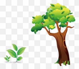 Tree Cartoon Shulin District - Leaf Png