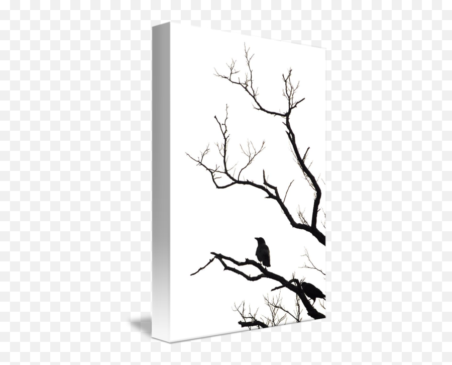 Old Tree Crows - Twig Png,Old Tree Png