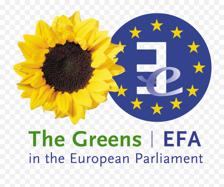 Greensefa Logo Green European Foundation - Free Alliance Png,Sunflower Logo