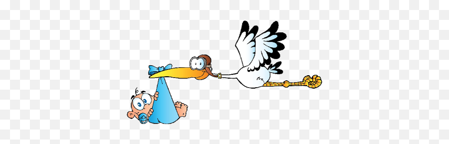 Stork Carrying Baby Boy - Baby Boy Clipart Stork Png,Stork Png