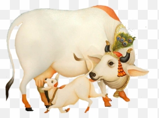 Krishna With Cow Png Image