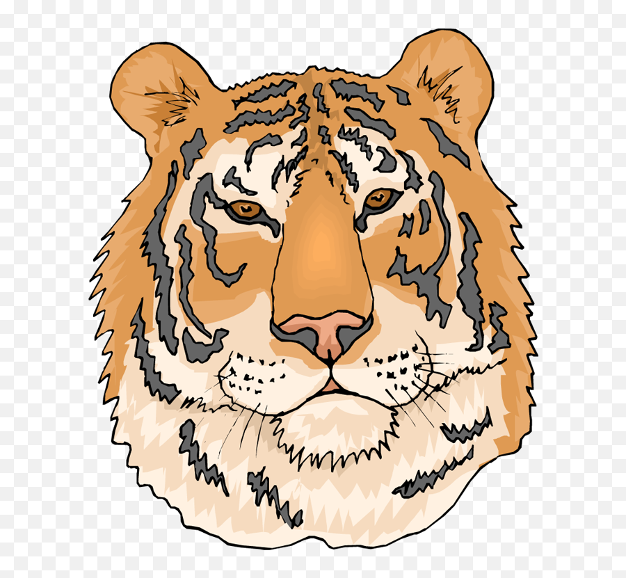 Clipart Face Tiger Transparent Free For - Coloring Pages Of Tigers Png,Tiger Face Png