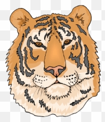 Clipart Face Tiger Transparent Free For - Coloring Pages Of Tigers png