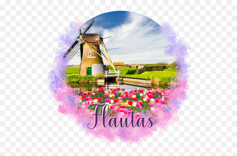 Download Hd - Ancient Sanctaphandri Proverb Tulip Windmill Field Of Flowers With Windmill Png,Farm Png