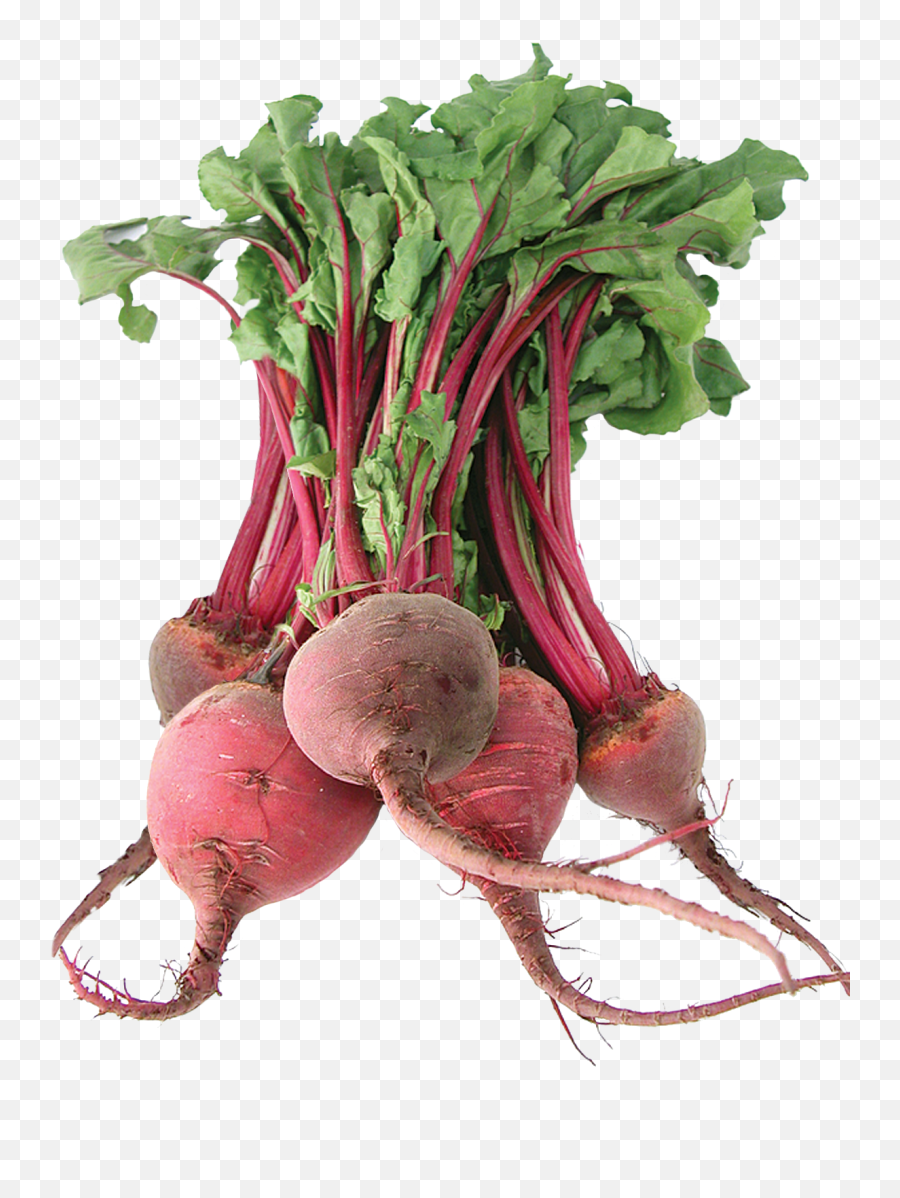 Download Beet Png Image For Free - Beets With Transparent Background,Beet Png