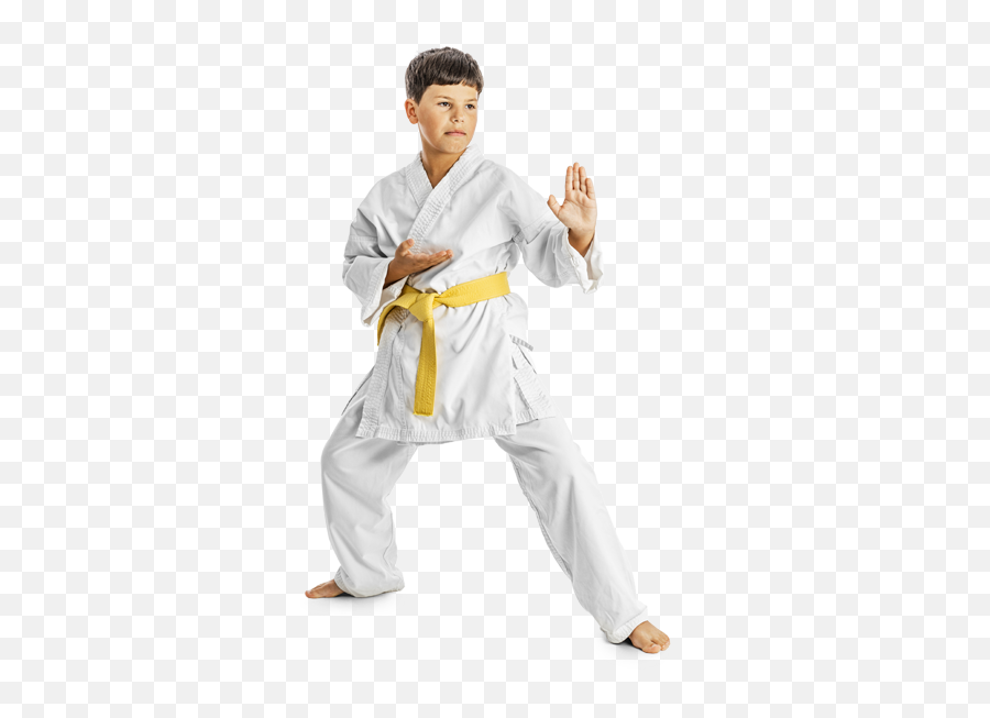 Charlotte Martial Arts School - Karate Kid Kung Fu Png,Martial Arts Png