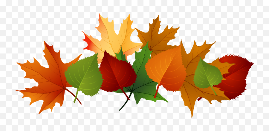 Autumn Leaves Pile Clip Art - Png Download Full Size Clip Art Fall Leaves,Autumn Png