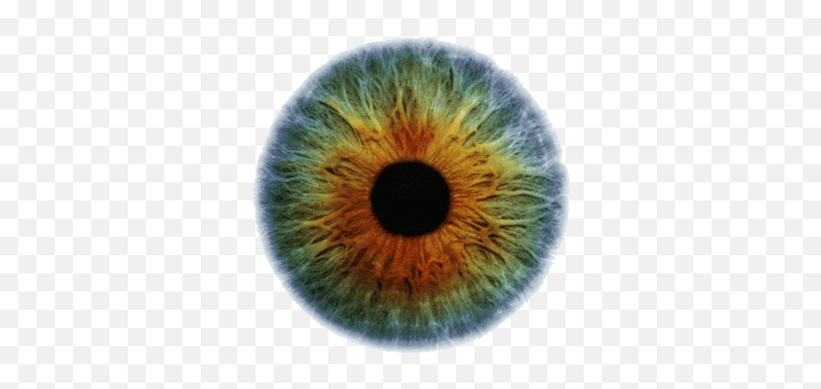 Transparency Discovered By Z O - Colorful Iris Eye Png,Heart Eyes Transparent