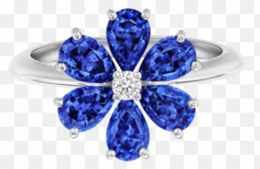 Forget - Engagement Ring Png,Forget Me Not Png