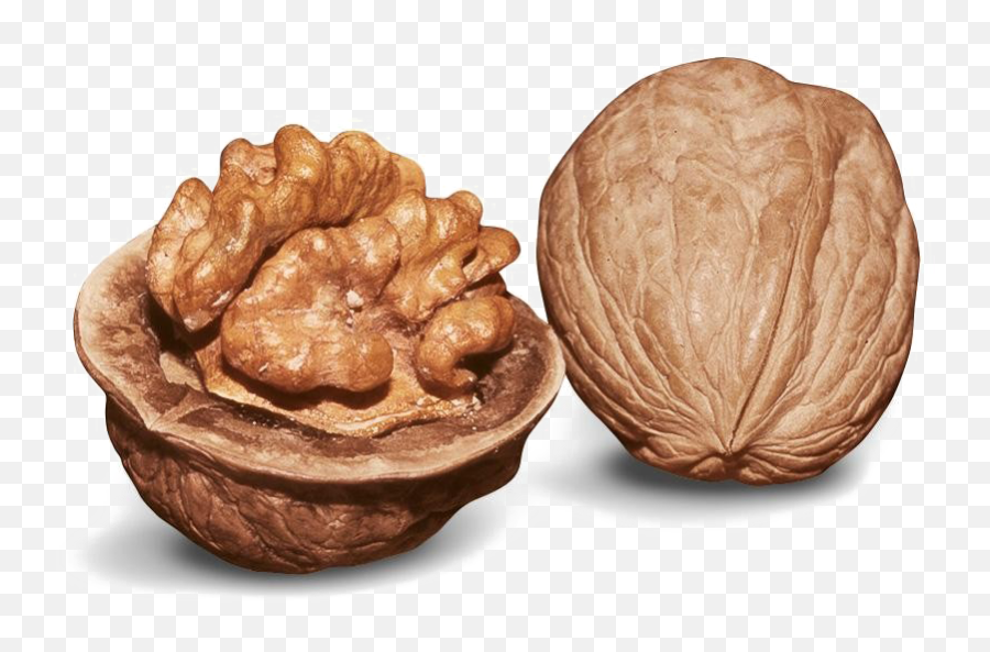 Walnut Png Image - Food,Walnut Png