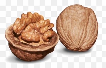 Walnut Png Image - Food,Walnut Png