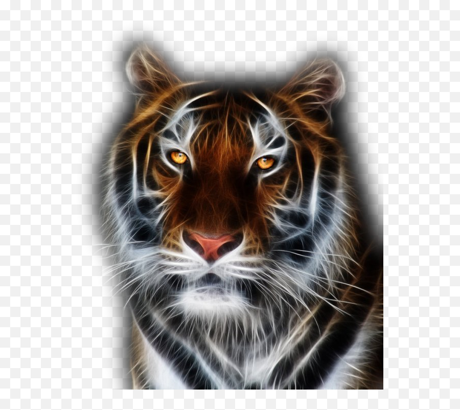 Hd Png Download - Tiger 5d Diamond Painting,Tiger Transparent Background