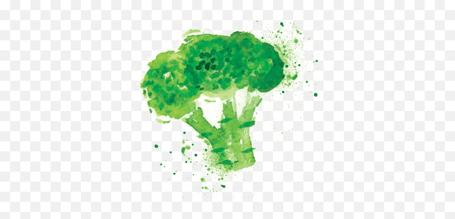 Broccoli Png - Watercolor Health,Brocoli Png