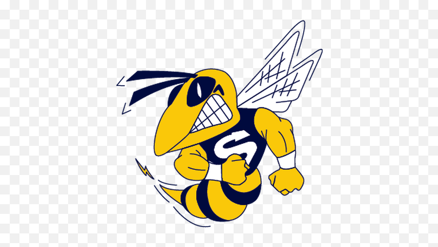 Home - Saline High School Hornets Png,Hornet Png