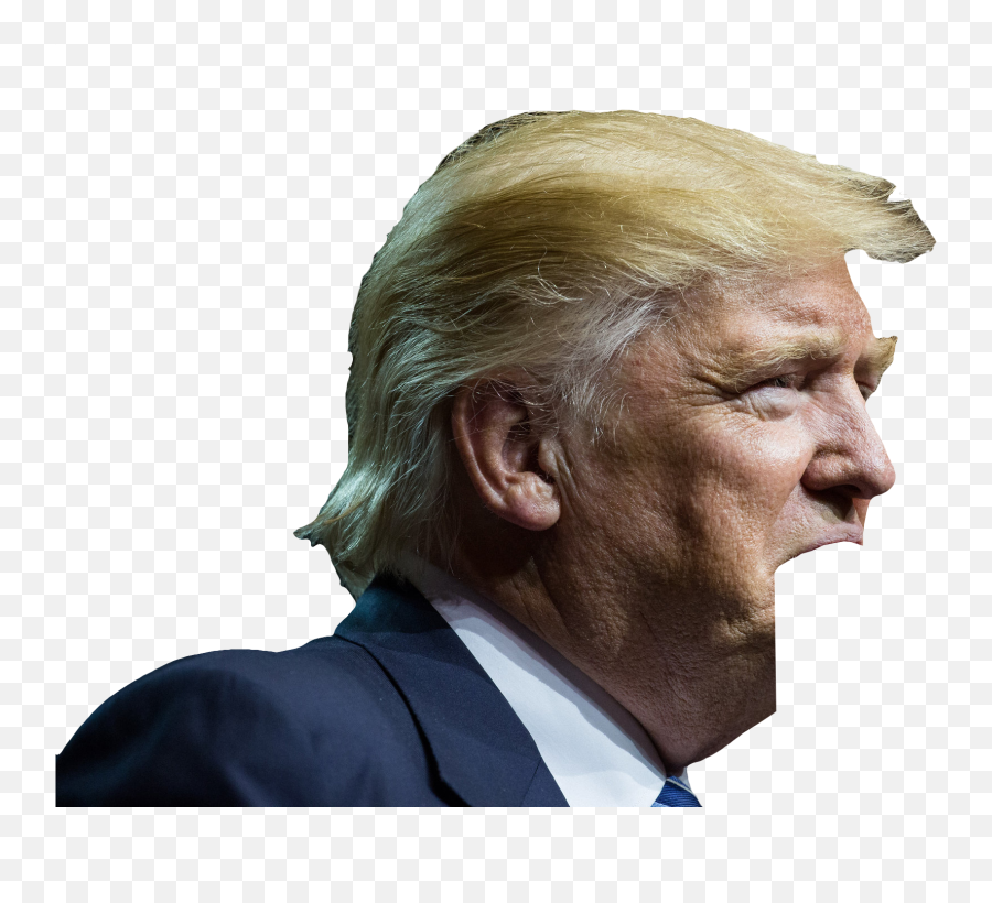 Trump Head Png - Trump Brain Gif,Trump Head Png