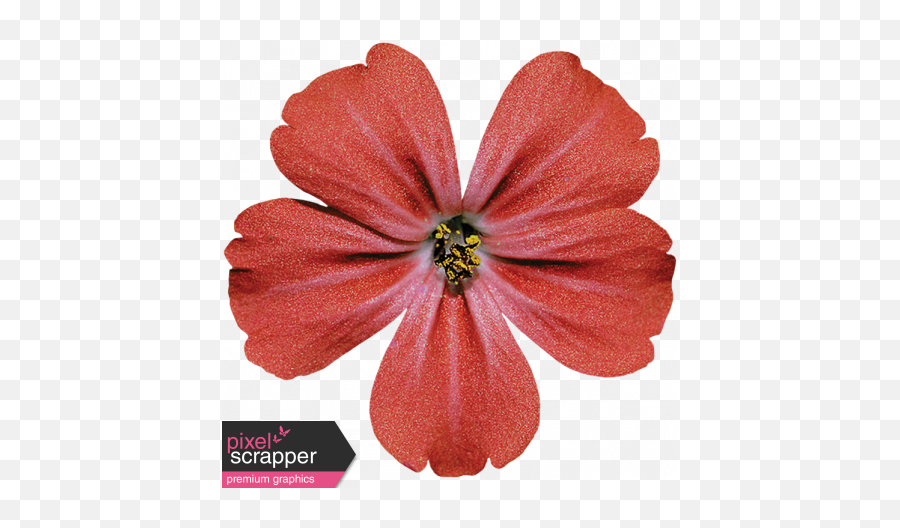 Red Flower Graphic - Red Flower Pixel Transparent Png,Red Flower Transparent